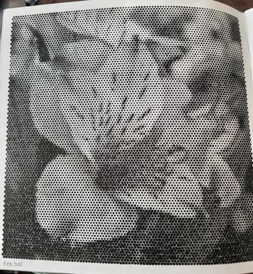 Альстромерия от Veronika Podoplelova