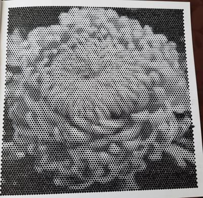 Хризантема от Veronika Podoplelova