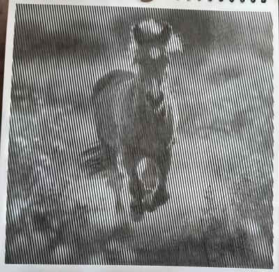 Работа от Veronika Podoplelova