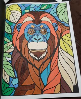 Работа от Veronika Podoplelova