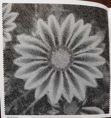 Газания от Veronika Podoplelova