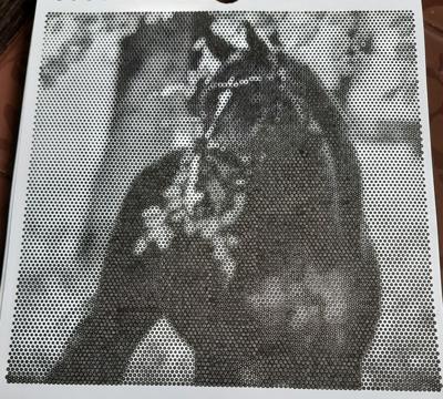 Работа от Veronika Podoplelova