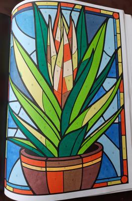 Работа от Veronika Podoplelova