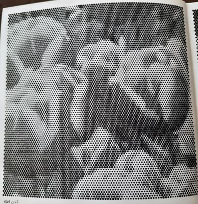 Тюльпаны от Veronika Podoplelova