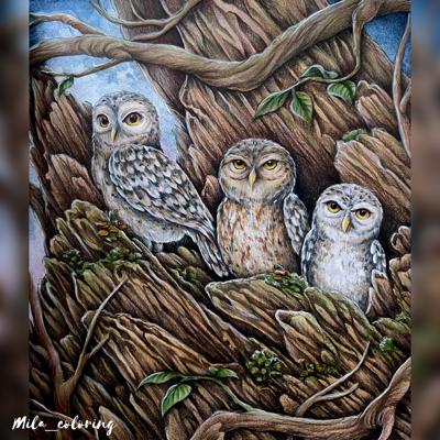 Работа от Мила Ковальчук