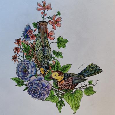 Птицы от KrayTsveta