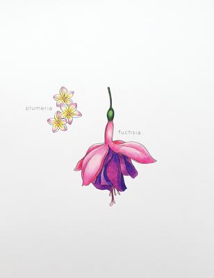 Работа от Natalya_coloring