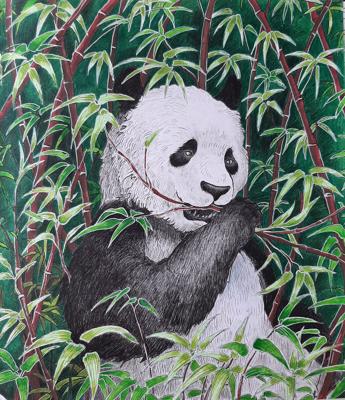 Работа от Natalya_coloring