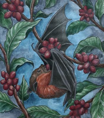 Работа от Natalya_coloring