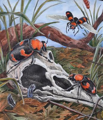 Работа от Natalya_coloring