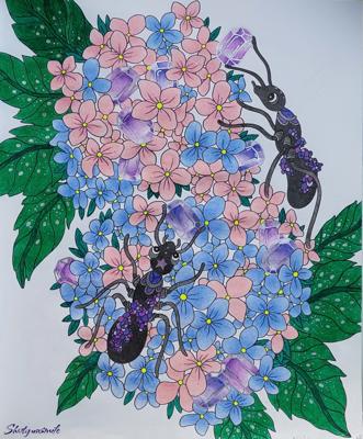 Муравьи от Shotgunsmile