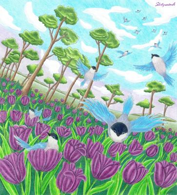 Тюльпаны от Shotgunsmile