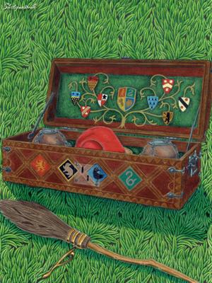 Мячи для квиддича от Shotgunsmile