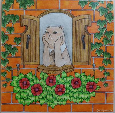 Кот от Shotgunsmile