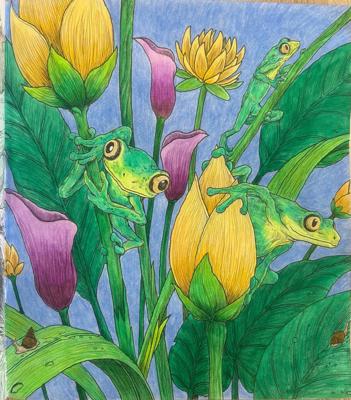 Работа от Yulia_coloring