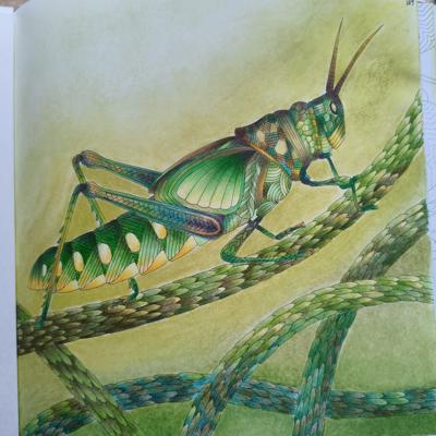 Кузнечик от Татьяна