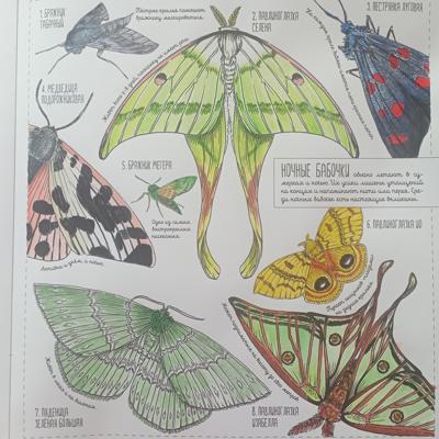 Работа от Nava