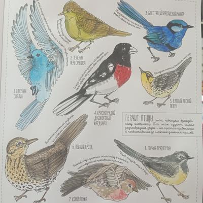 Работа от Nava