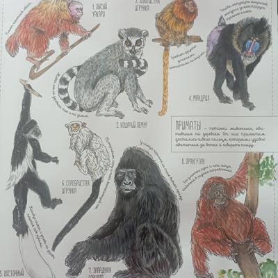 Работа от Nava