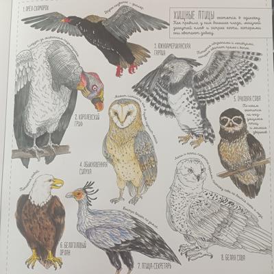 Работа от Nava