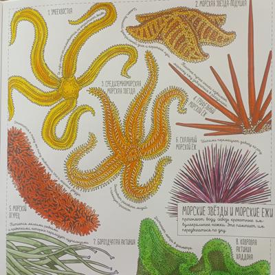 Работа от Nava