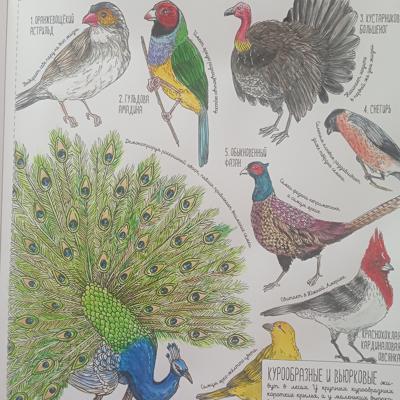 Работа от Nava