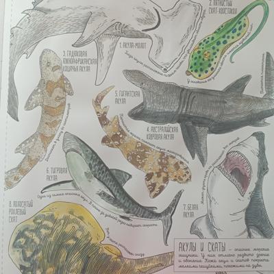 Работа от Nava