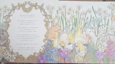 Работа от Nava