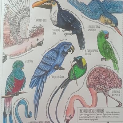 Работа от Nava