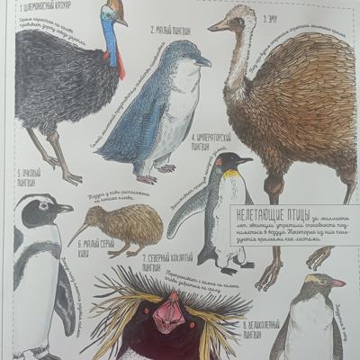 Работа от Nava