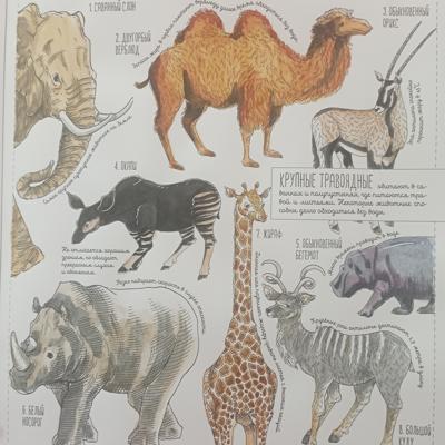 Работа от Nava