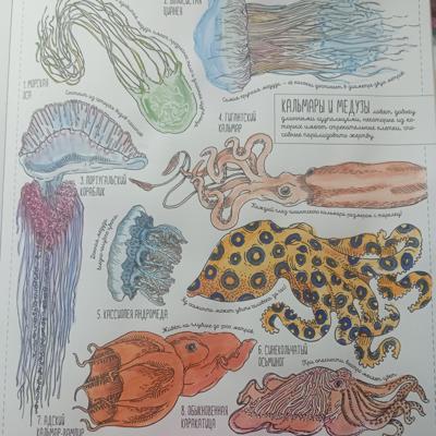 Работа от Nava