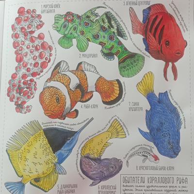 Работа от Nava