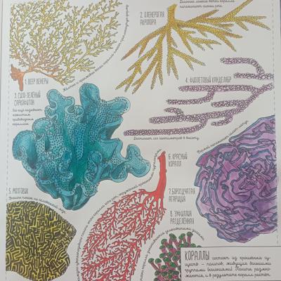 Работа от Nava
