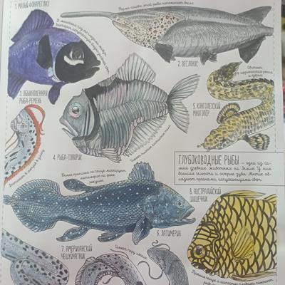 Работа от Nava