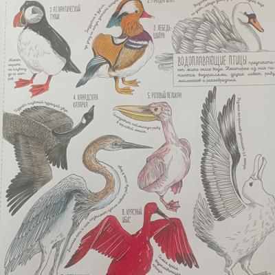 Работа от Nava