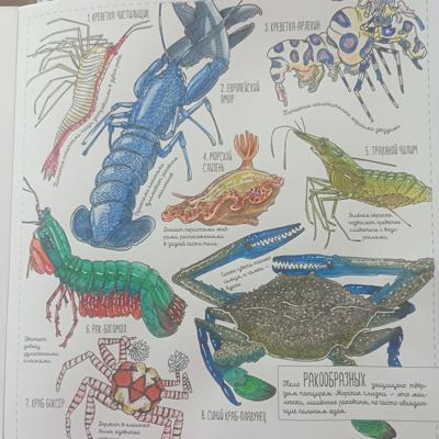 Работа от Nava