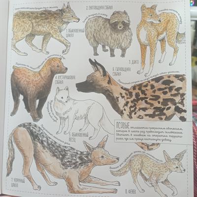 Работа от Nava