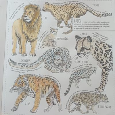 Работа от Nava