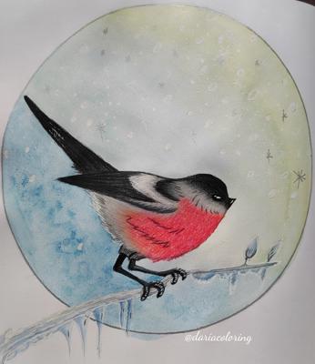 Работа от Dariacoloring