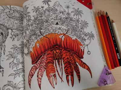 Работа от Dariacoloring