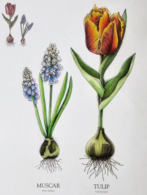 Работа от DanaBlack