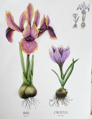 Работа от DanaBlack