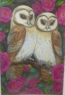 Работа от KSENIA 89