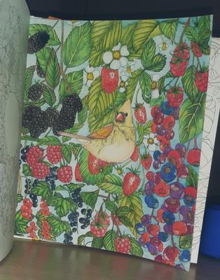 Ягоды от KSENIA 89