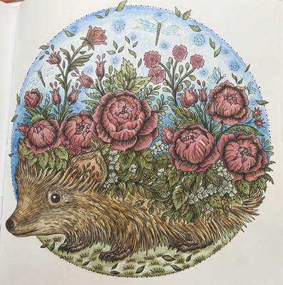 Работа от Dita