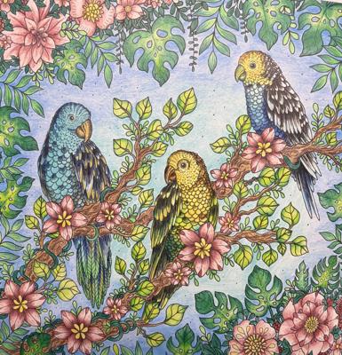 Работа от Dita