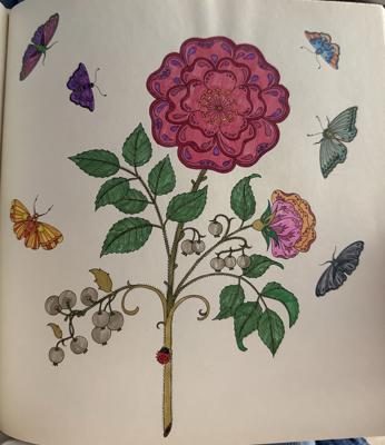 Работа от Eslova