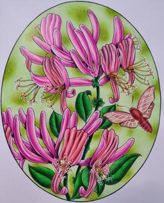 Работа от Loli