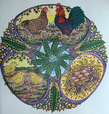 Круг жизни от Kate